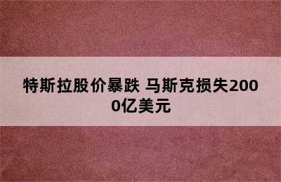 特斯拉股价暴跌 马斯克损失2000亿美元